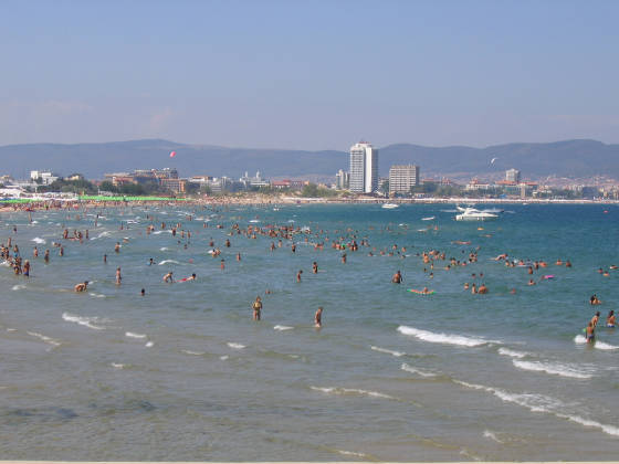 sunnybeachcoast2009.jpg